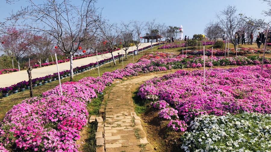 樱山花谷景区