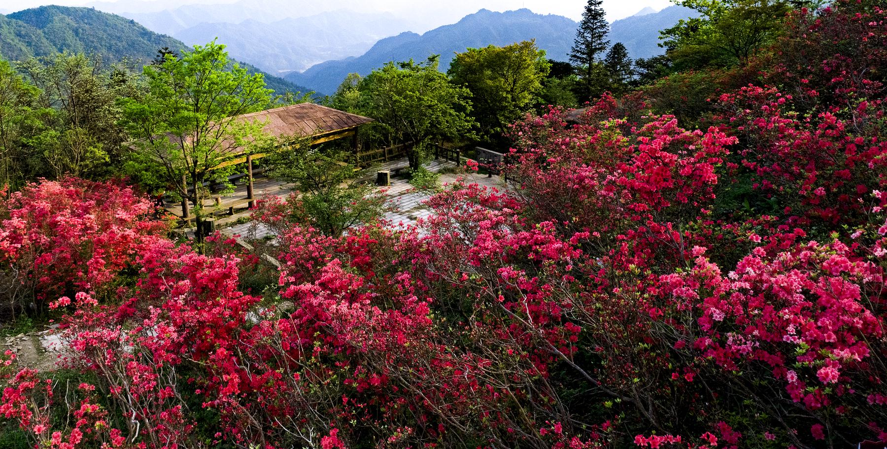 大熊山国家森林公园