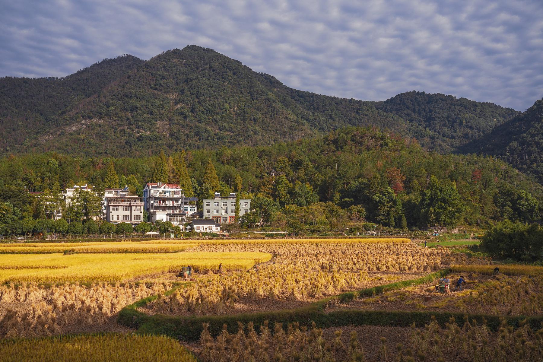 国清景区
