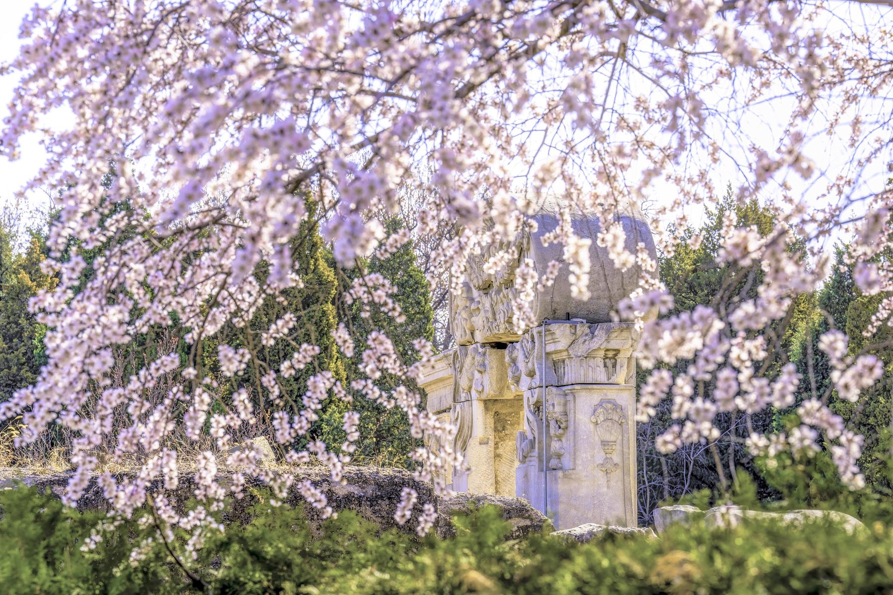 圆明园遗址公园