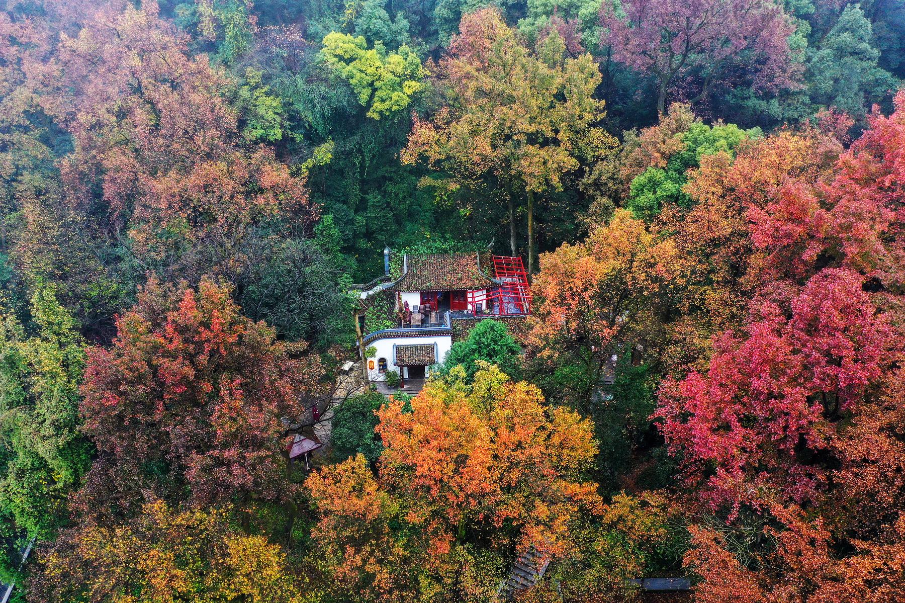 岳麓山国家重点风景名胜区