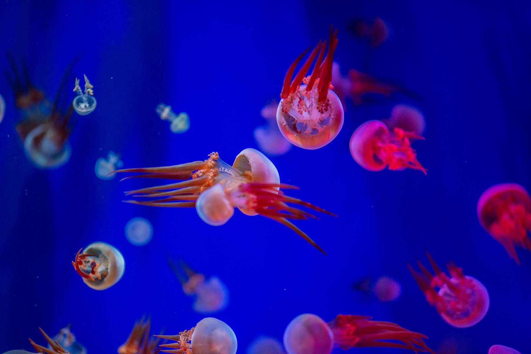 海滨城购物中心