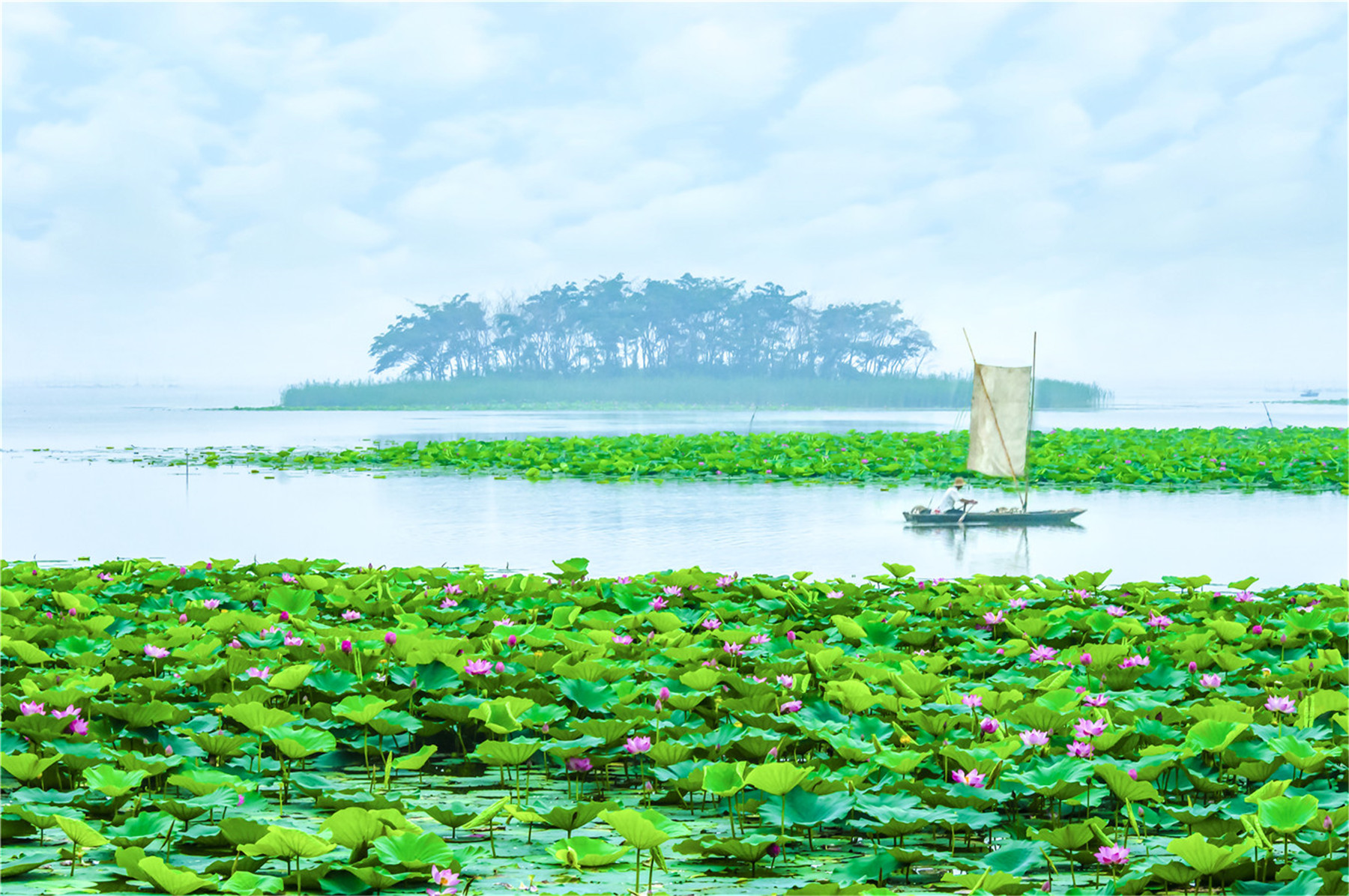 滕州微山湖红荷湿地景区