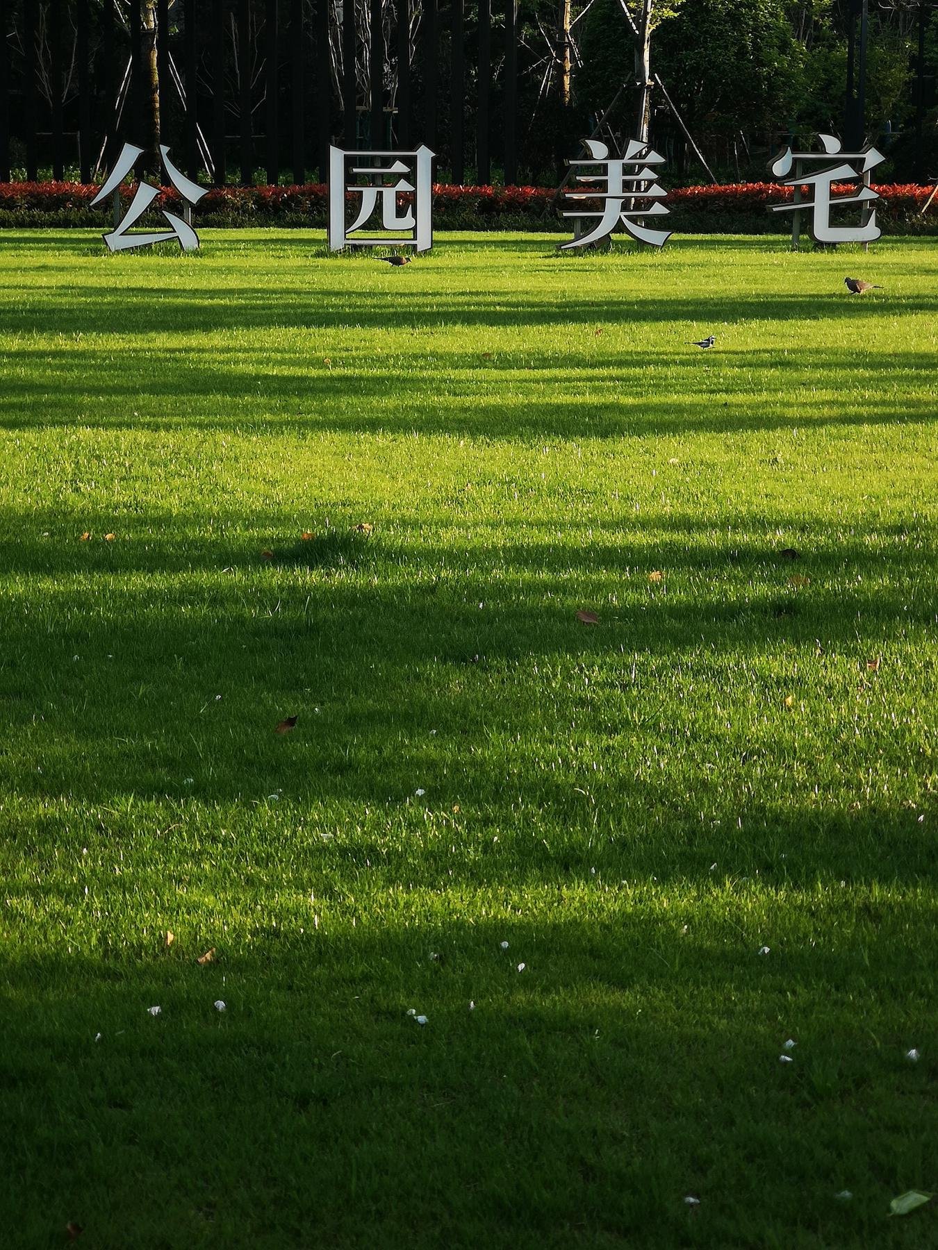 云花溪谷自然风景区