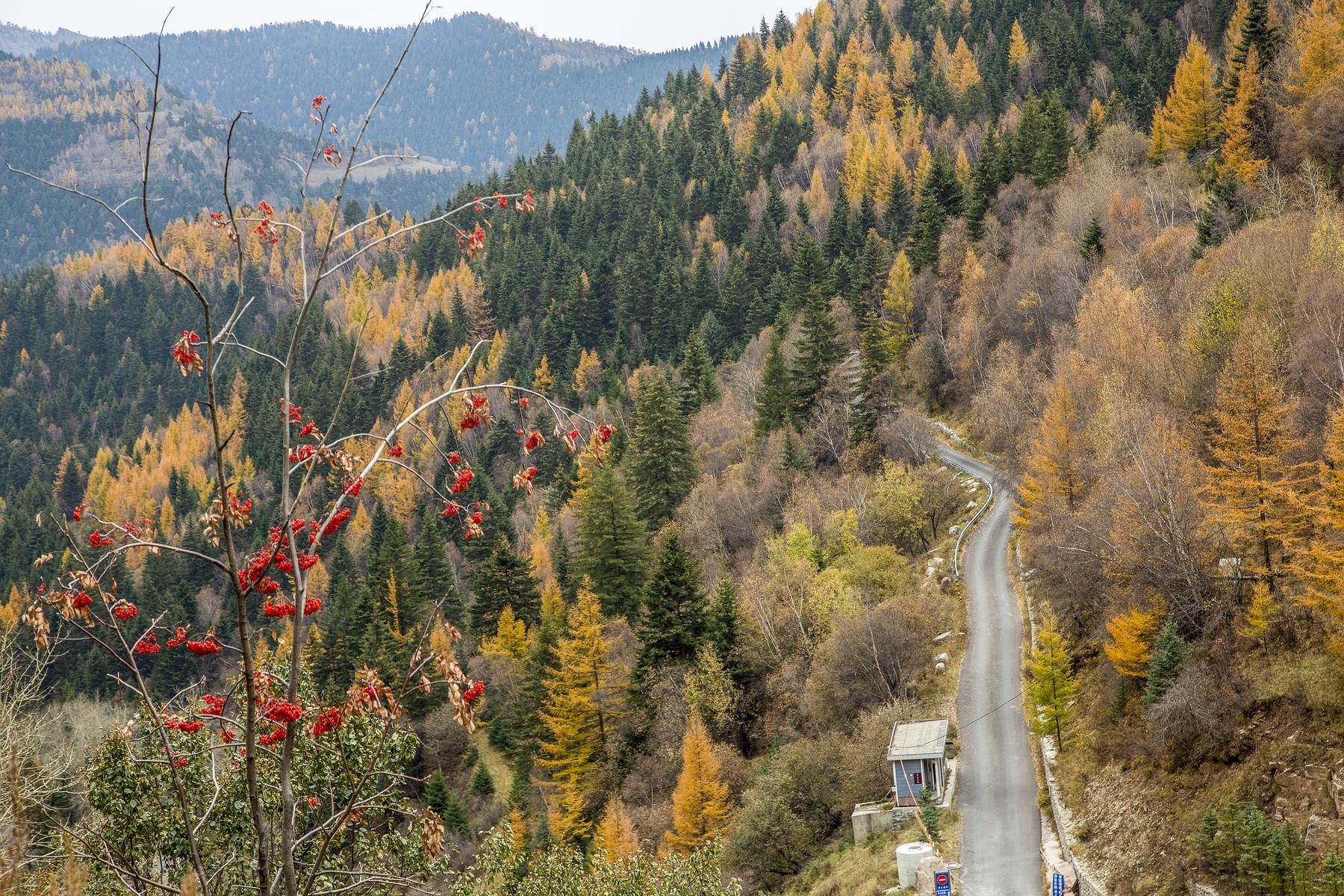 芦芽山旅游度假区