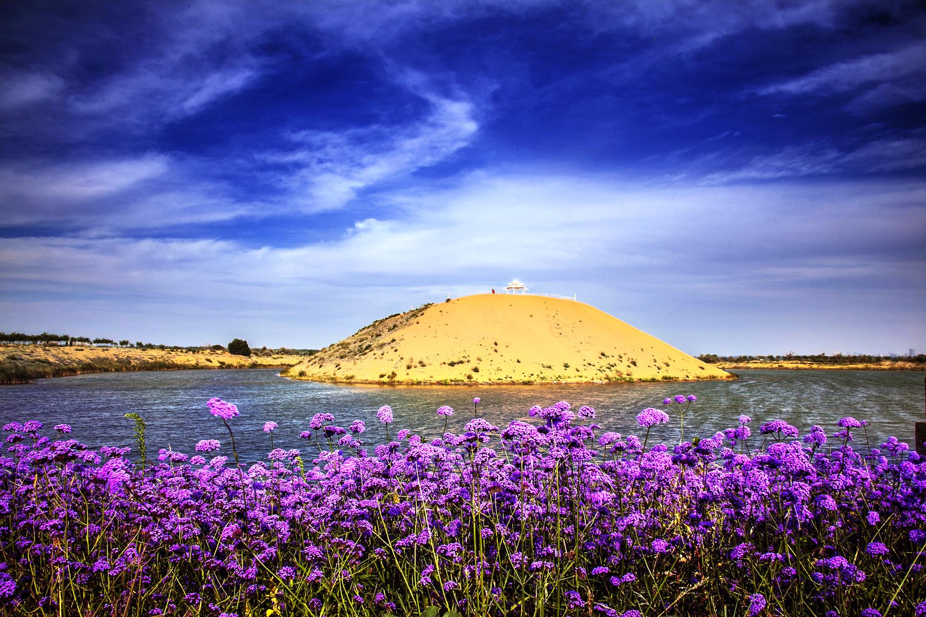 腾格里沙漠湿地金沙岛旅游区