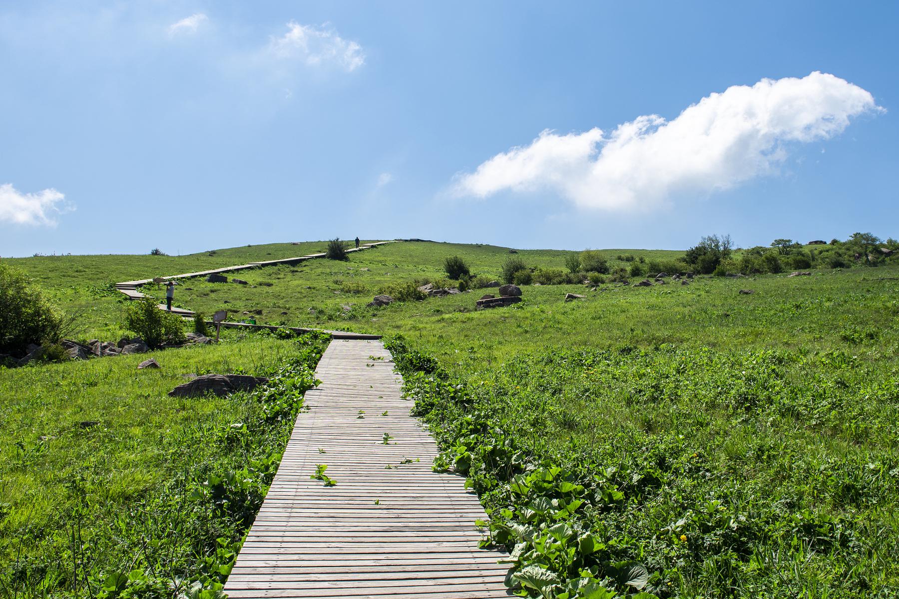 历山舜王坪景区