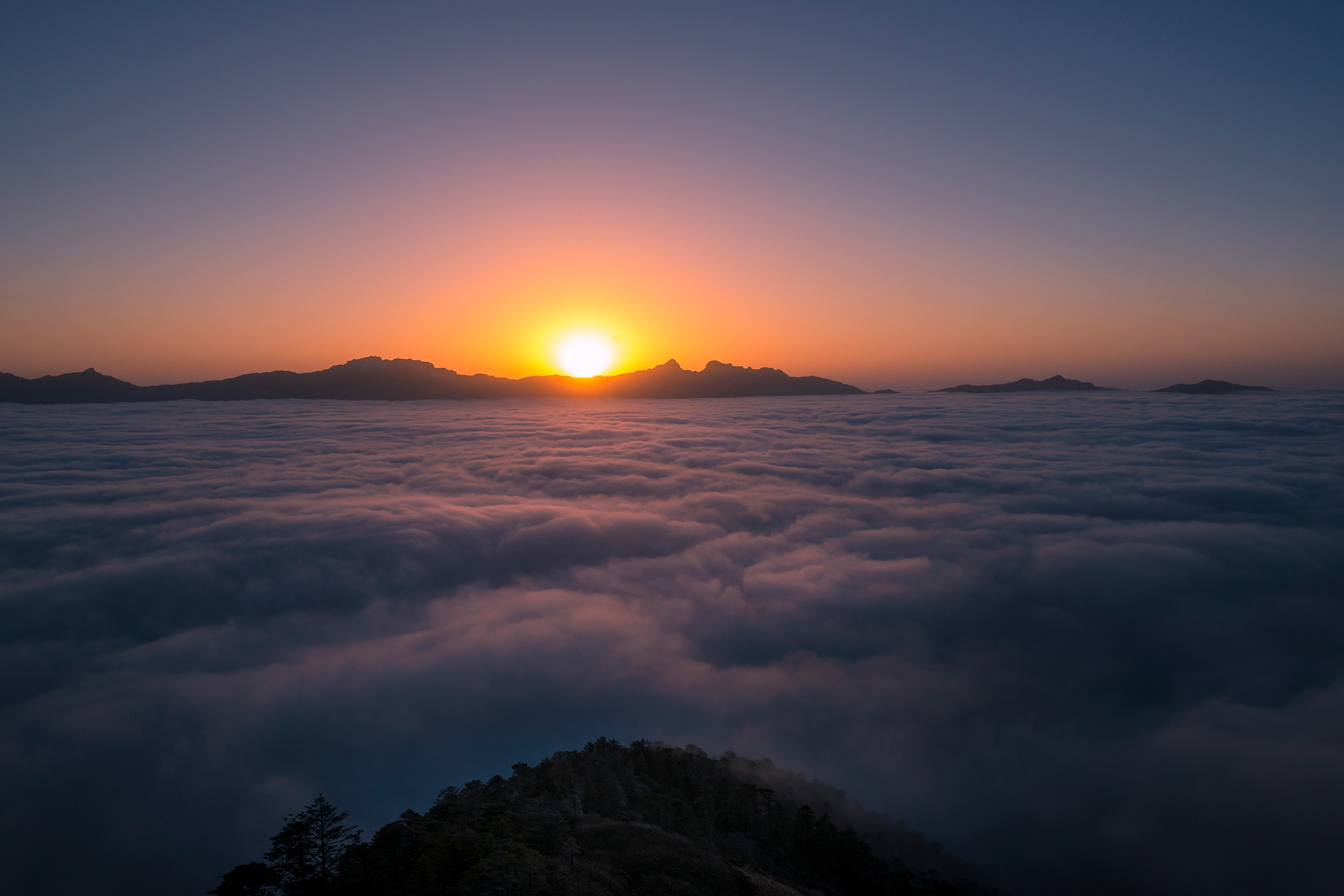 二郎山喇叭河旅游景区