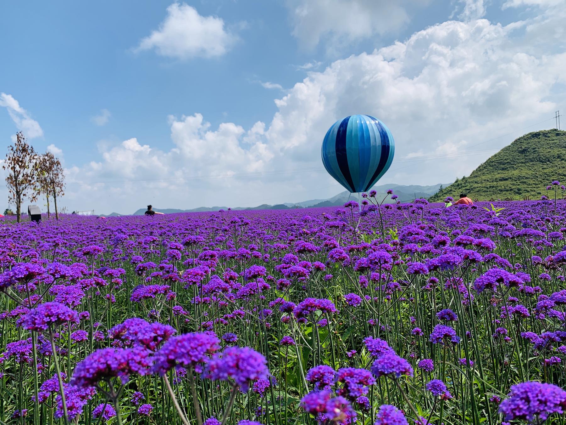 溪南十锦锦绣田园