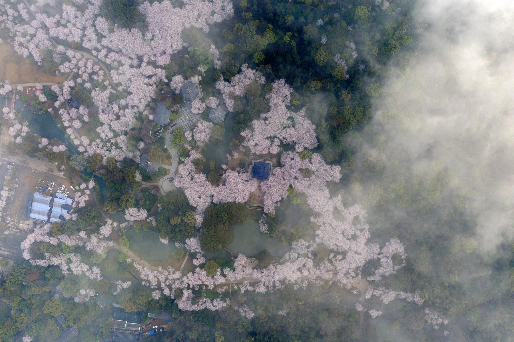 青龙湖公园