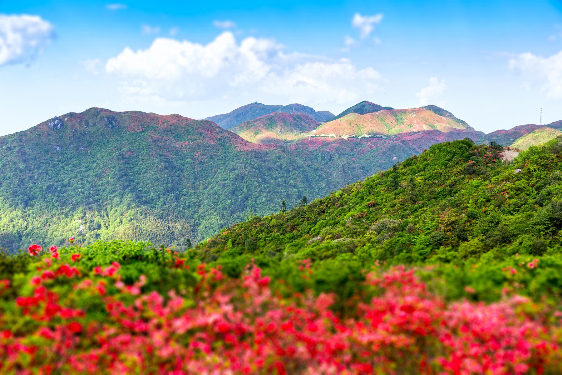 绿林山风景区