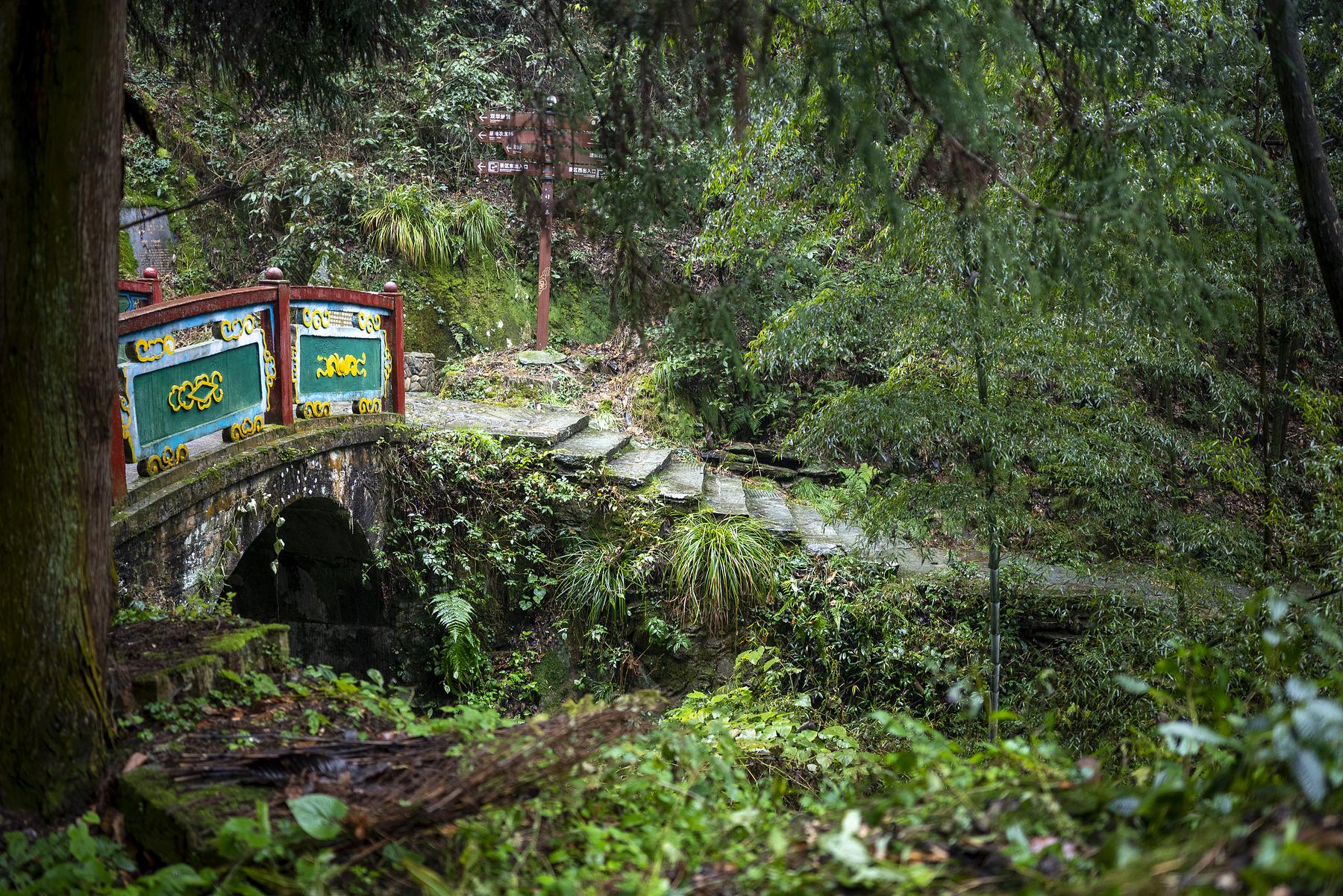 云山国家森林公园