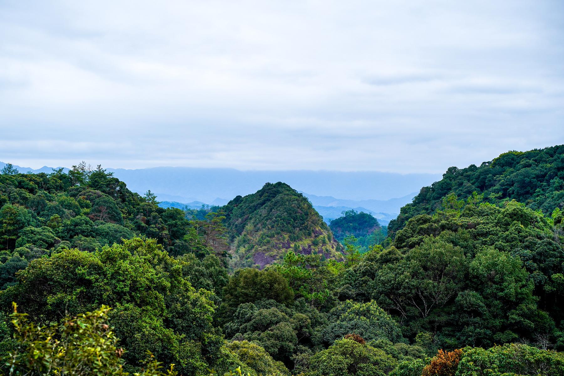 状元岩景区