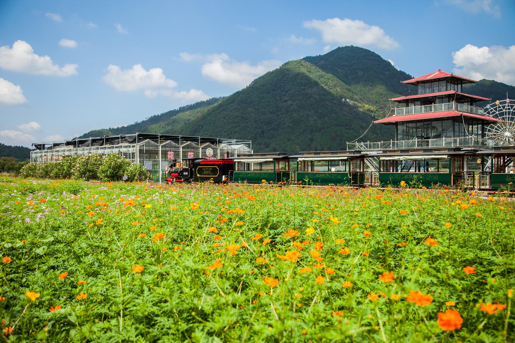 缙云笕川川花海