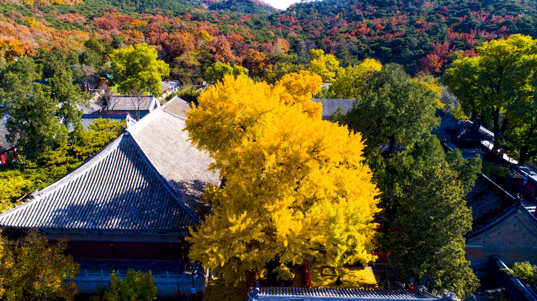 红螺寺