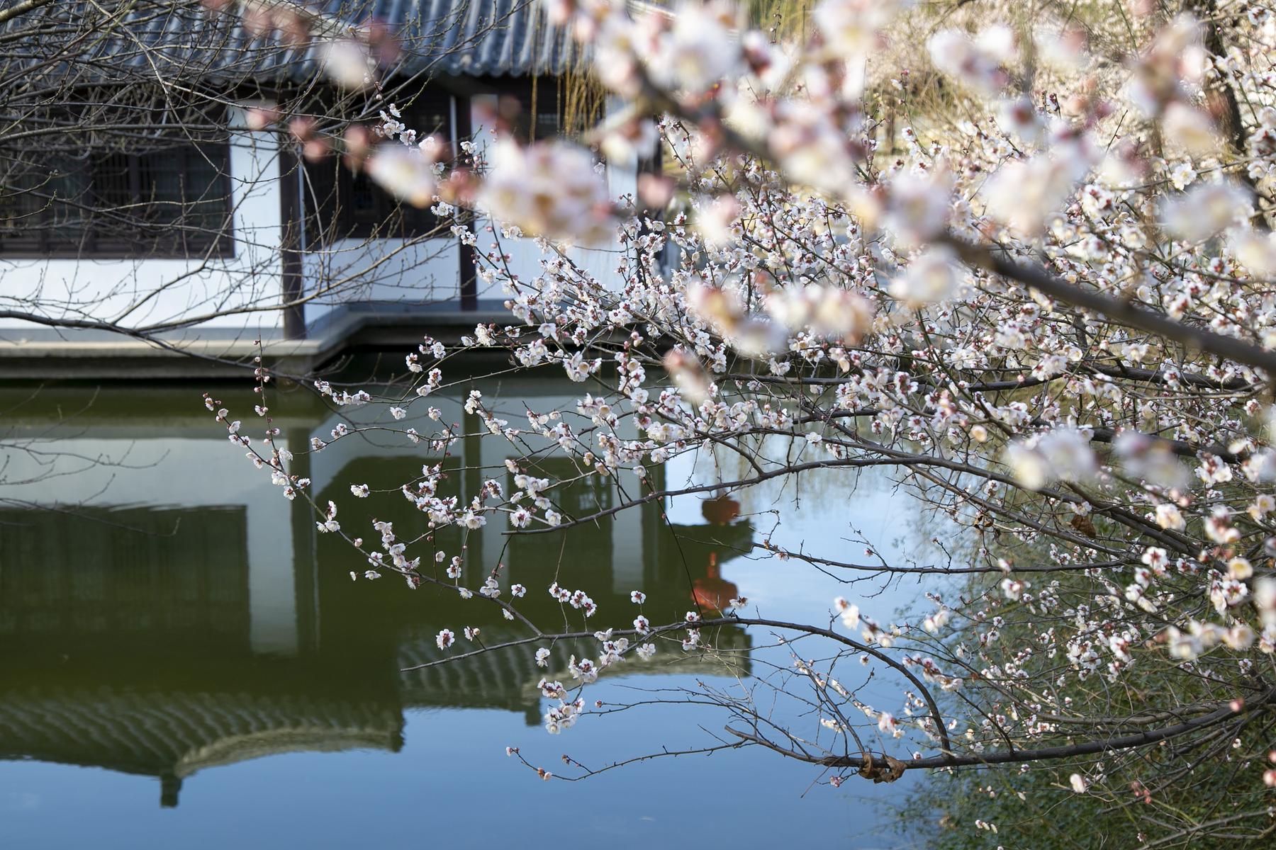 镇江南山风景名胜区