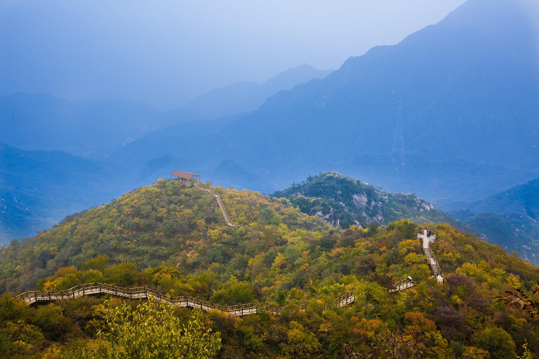 大岭沟猕猴桃谷风景区