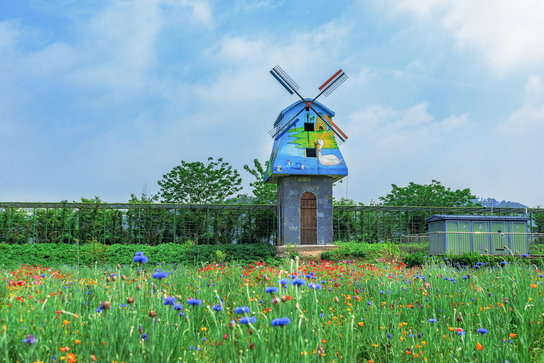 马畈农业奇幻乐园