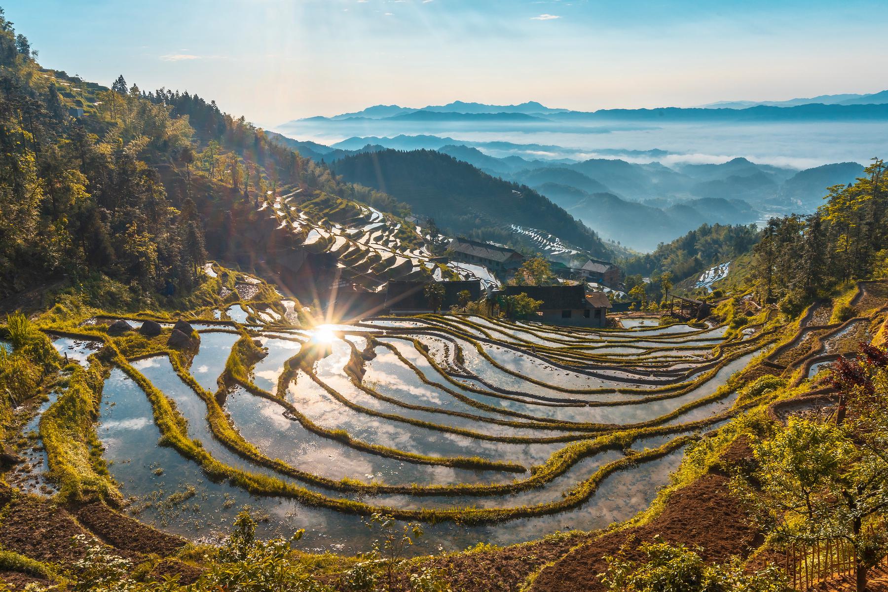 紫鹊界梯田景区