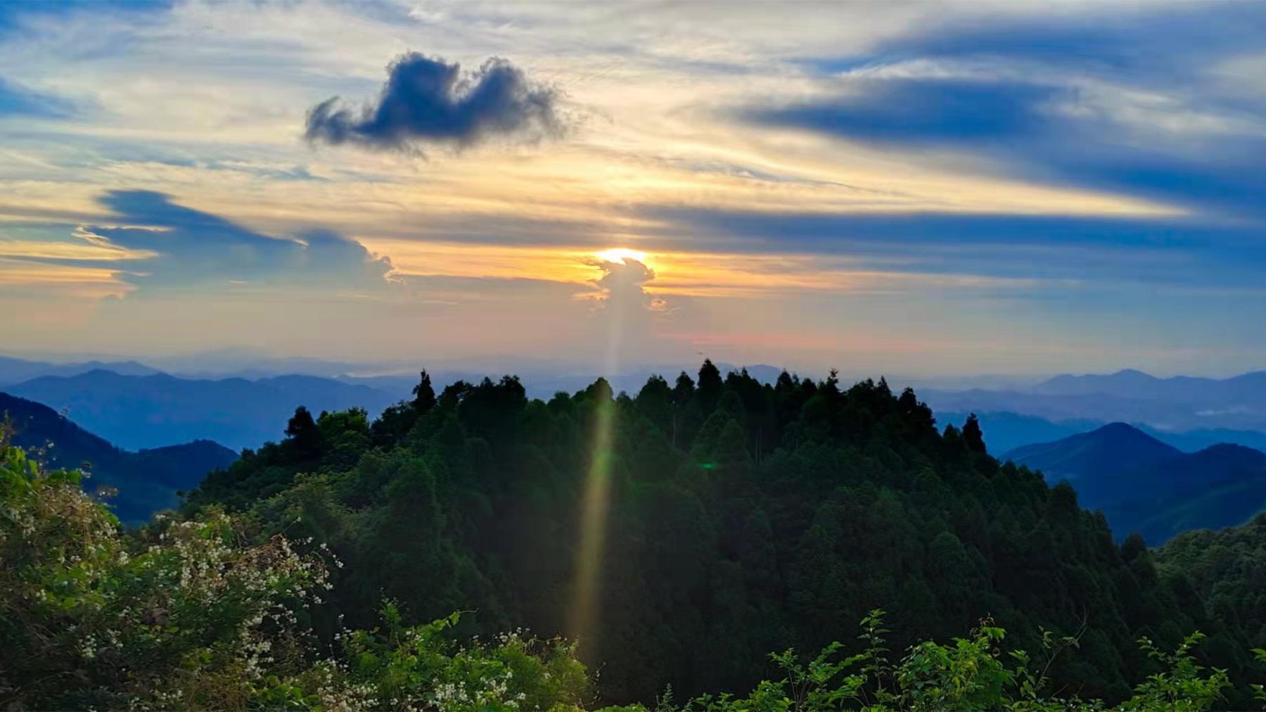 广西六万大山森林公园