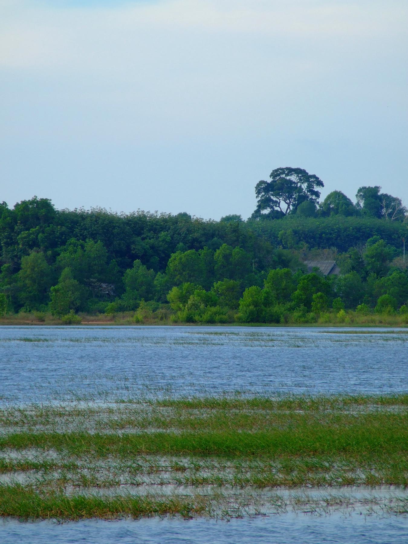 呼兰河口国家湿地公园