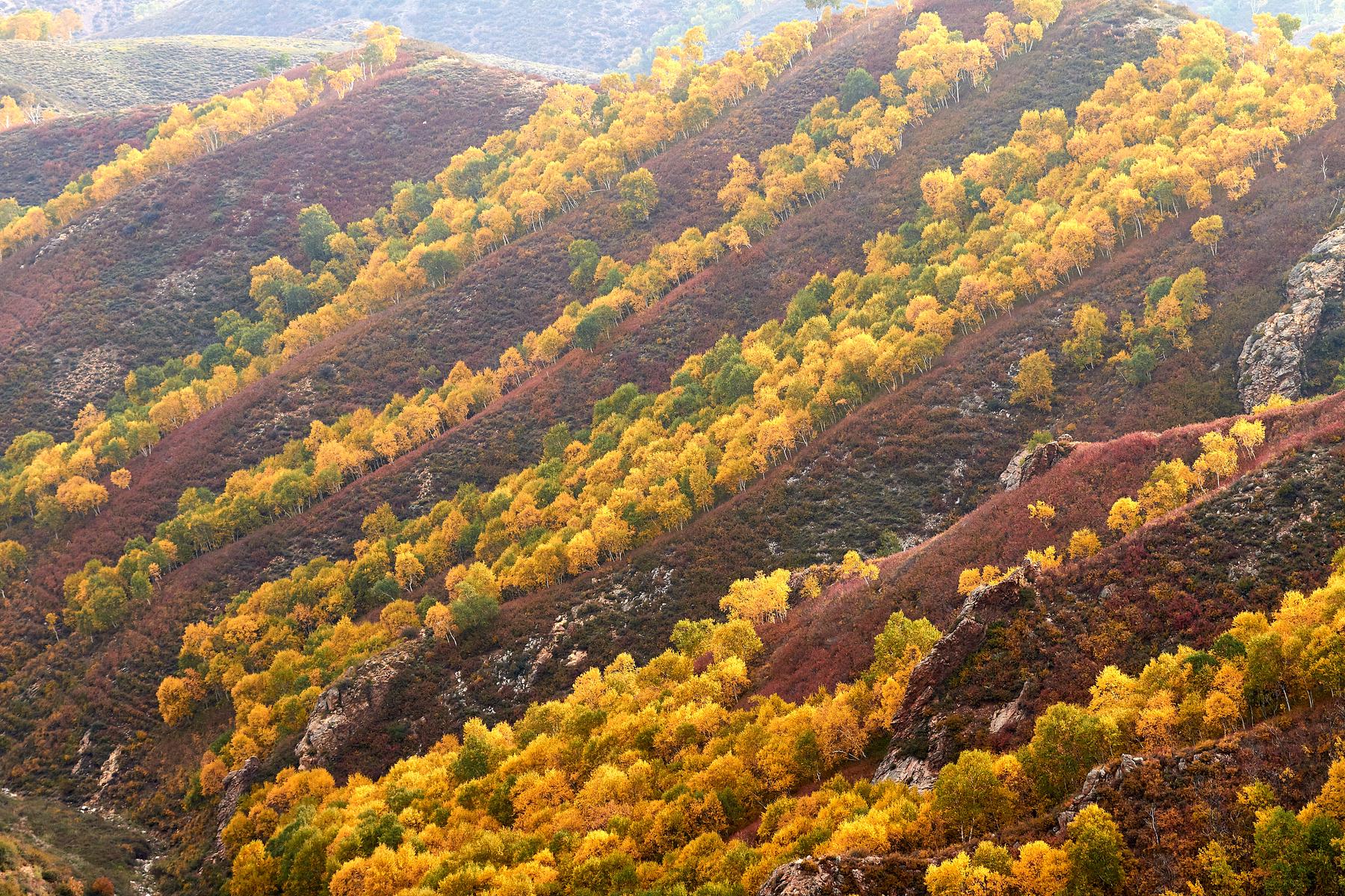 马鞍山