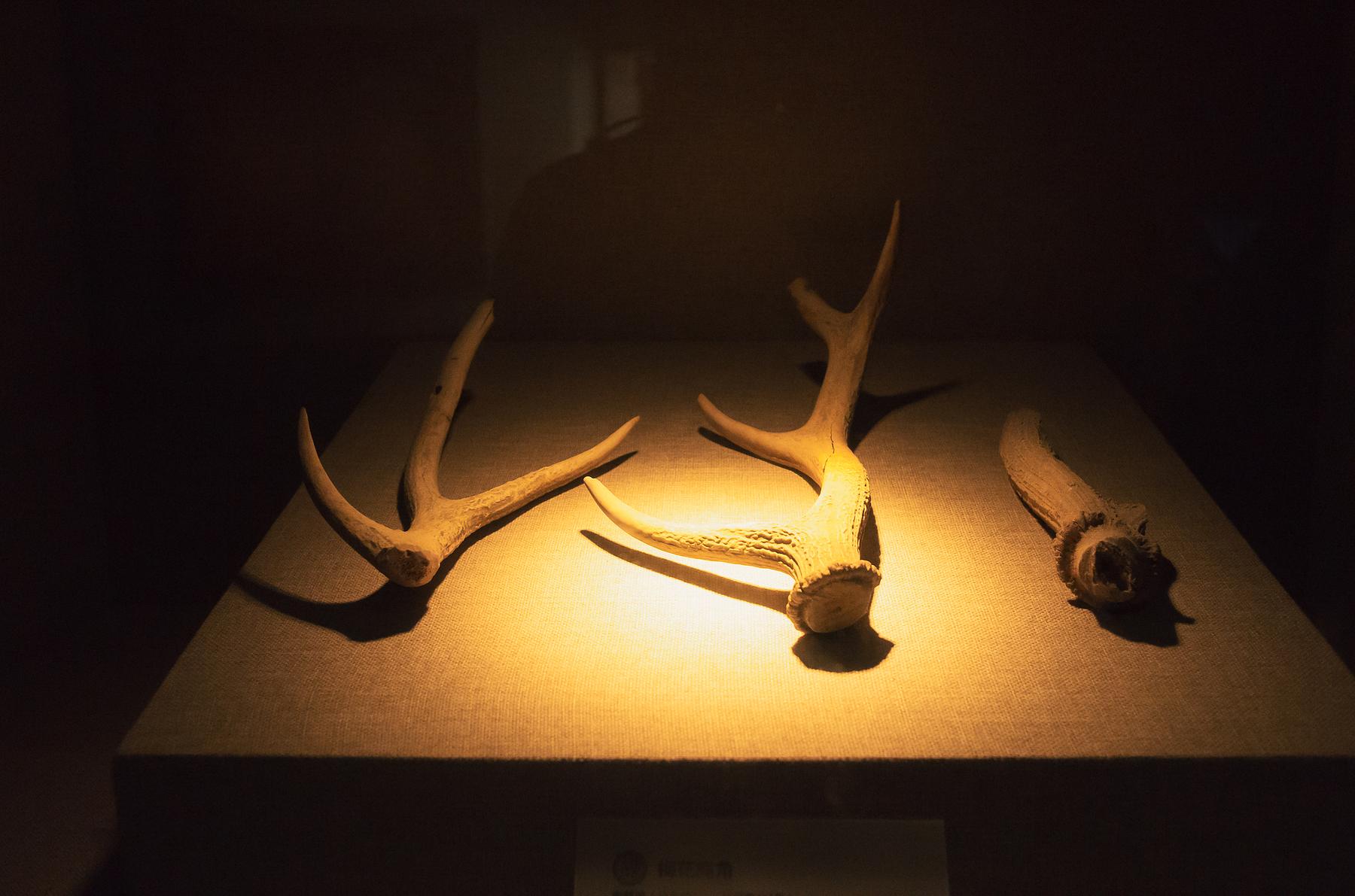 南越王博物院(王宫展区)