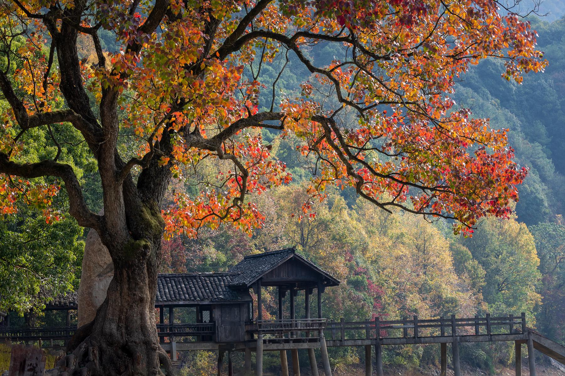 富春桃源风景区