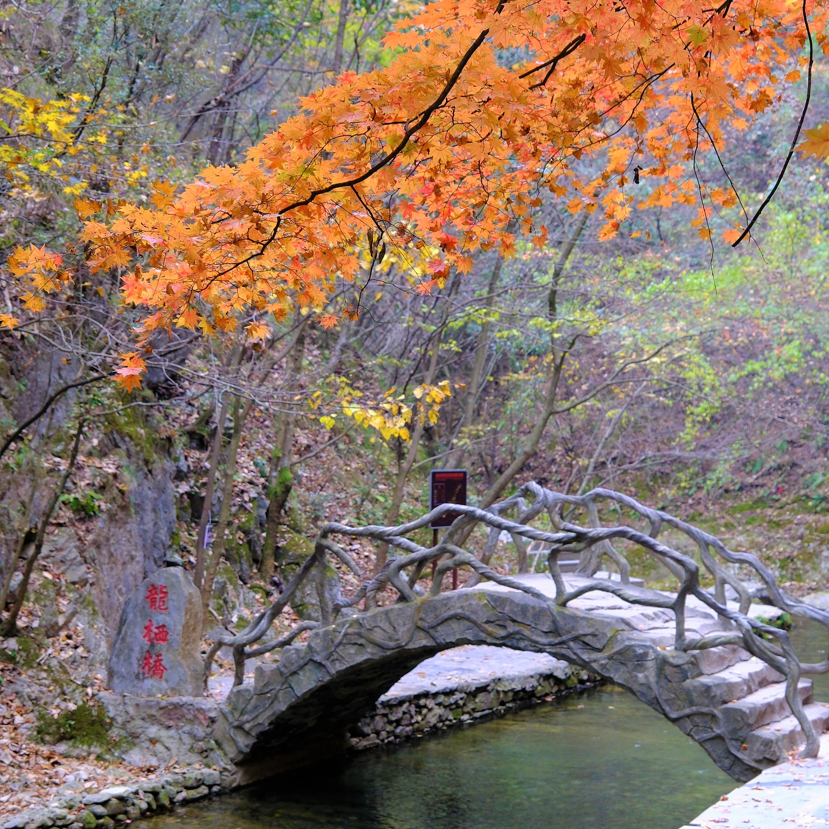 金丝峡景区