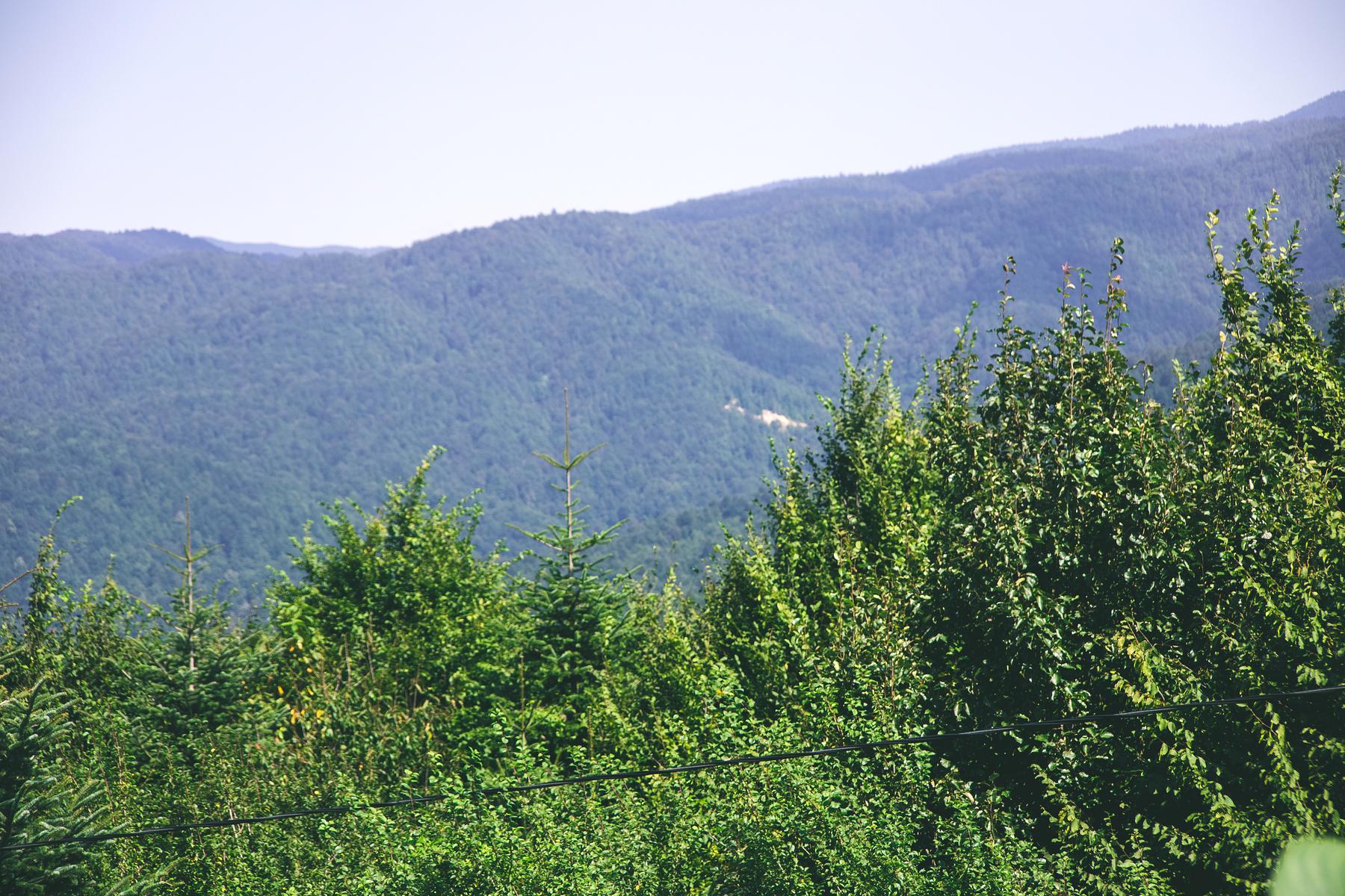 陕西野河山生态旅游景区