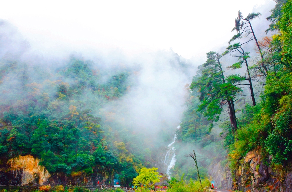 西天目山风景区