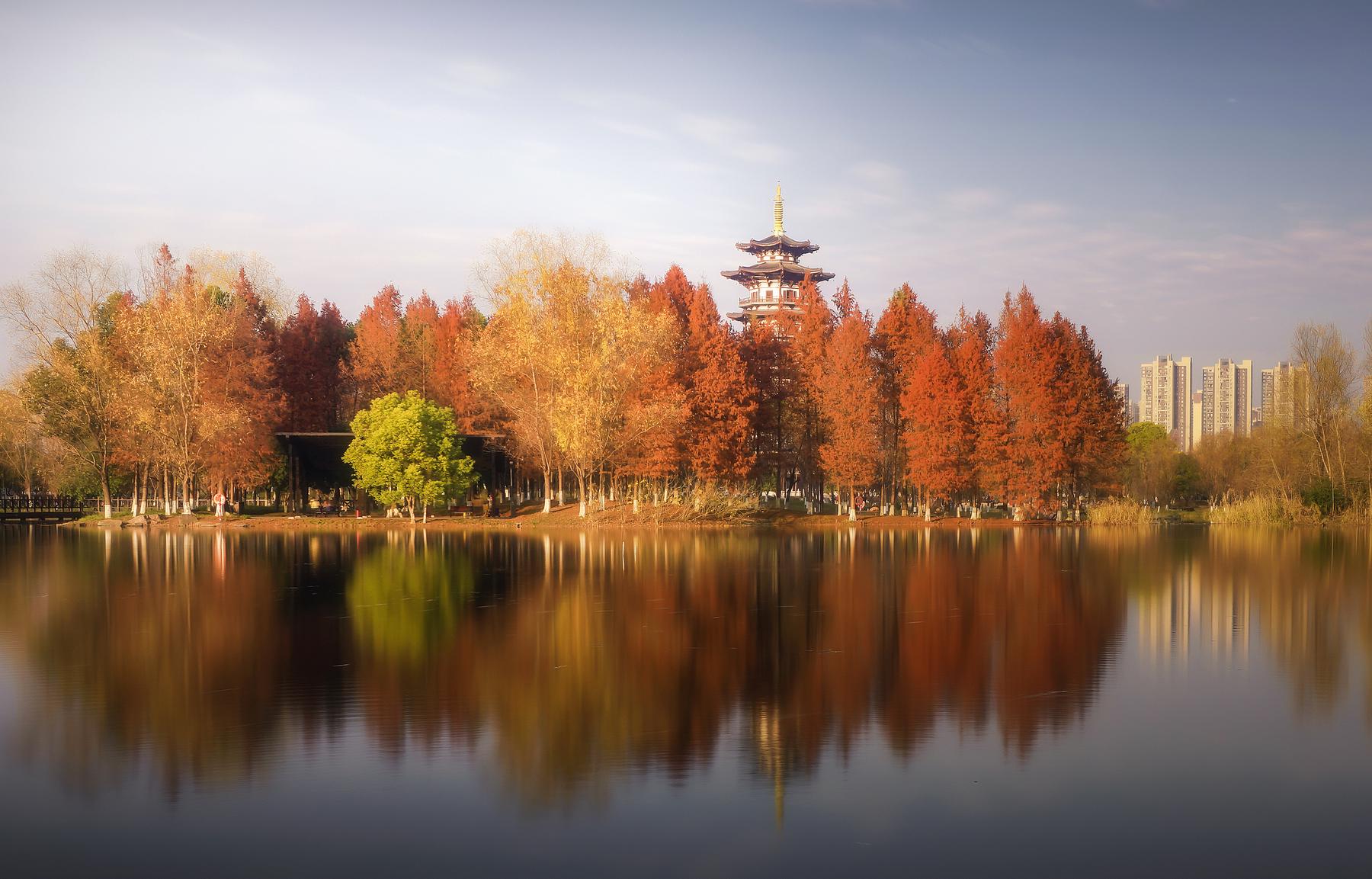 洋湖国家湿地公园