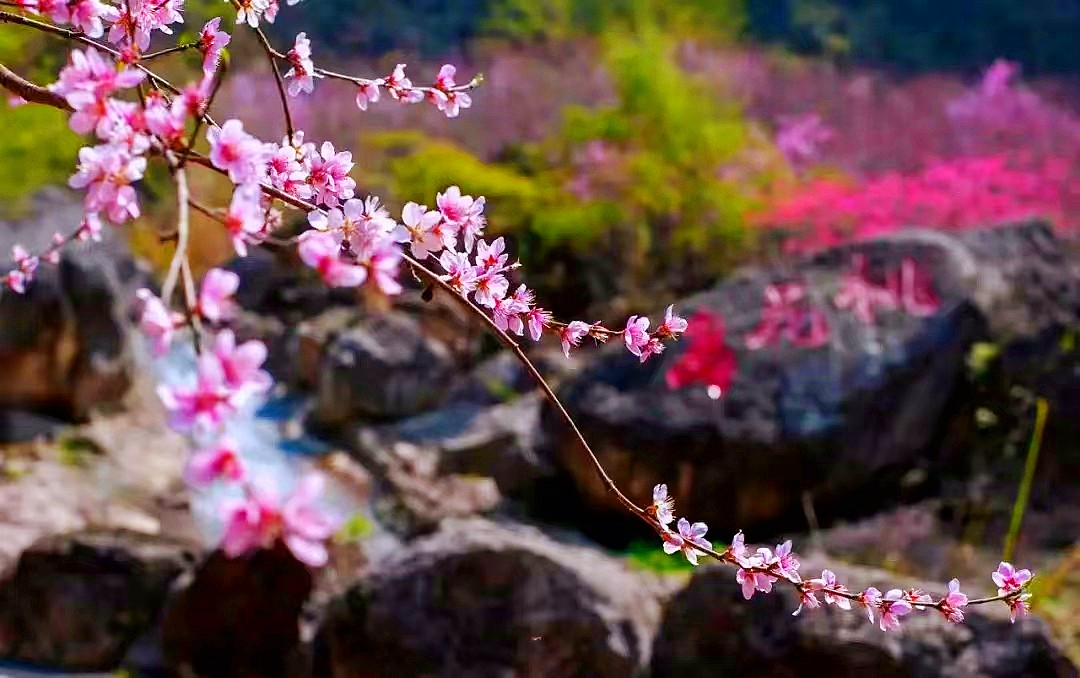 朝天吼漂流终点