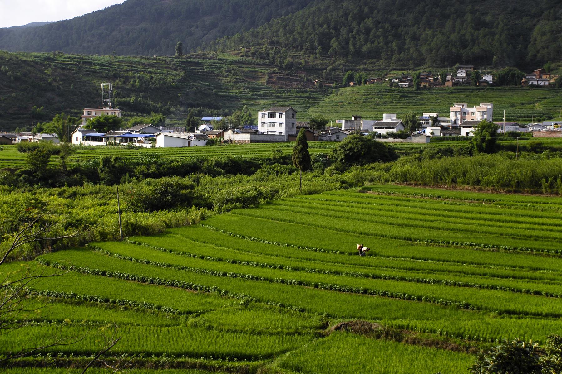 尤溪联合梯田