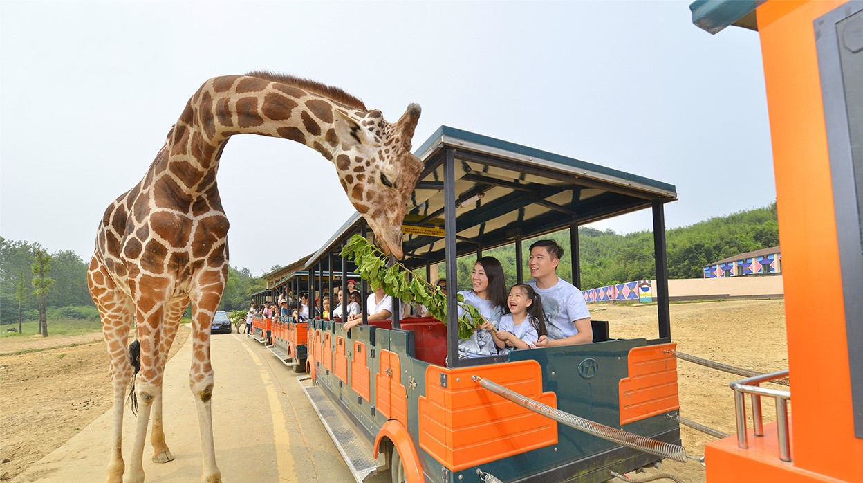 杭州野生动物世界