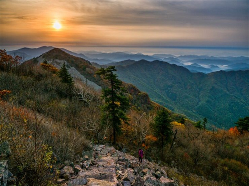 花脖山景区