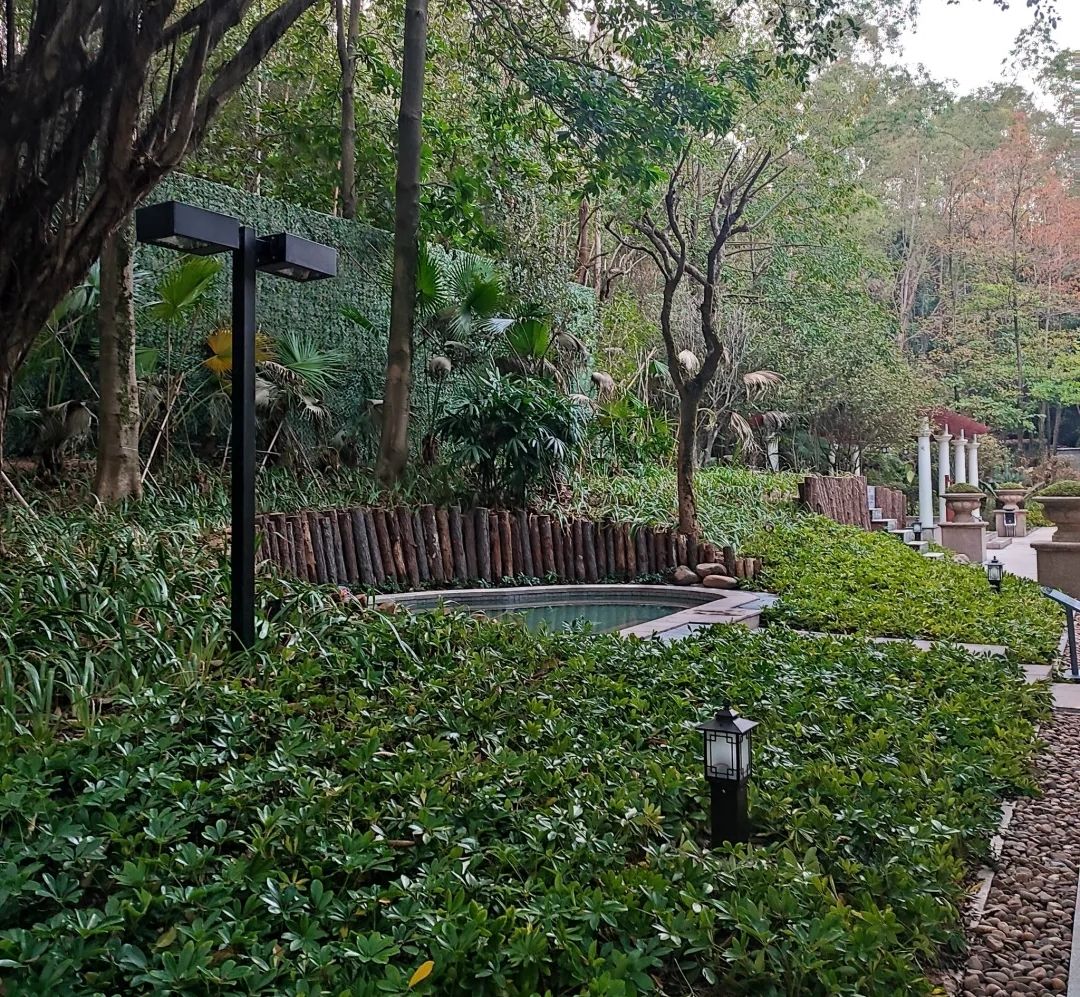 恒大酒店健康中心森林汤泉