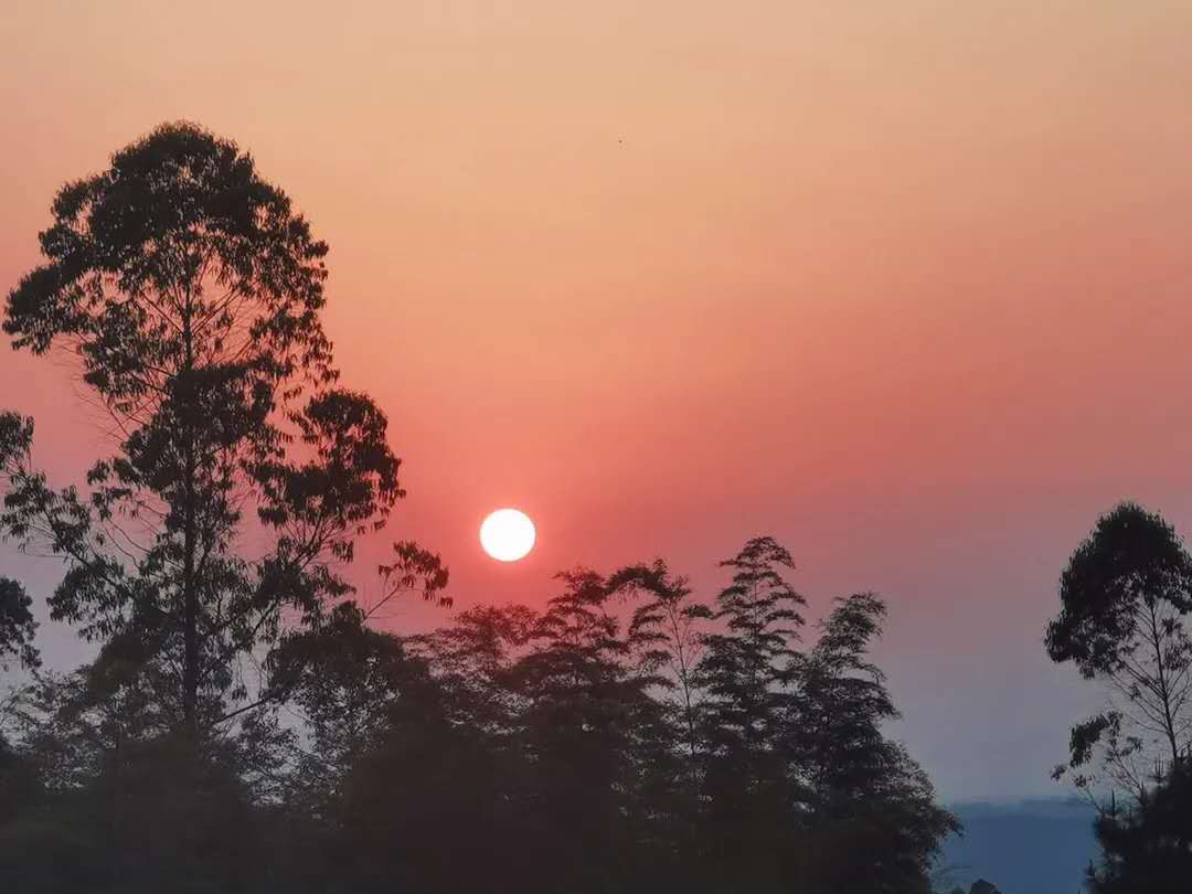 天府茶灵谷山地运动公园