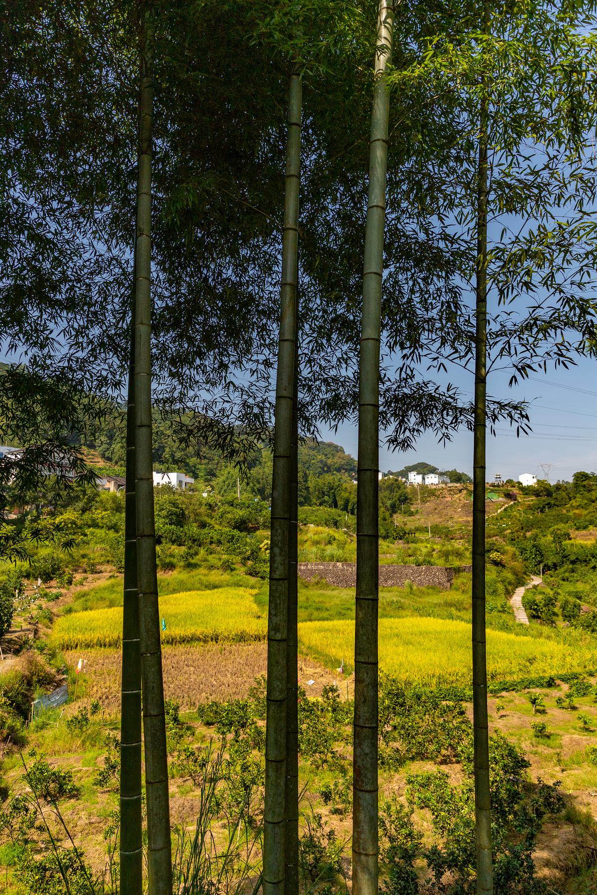 上金贝旅游景区