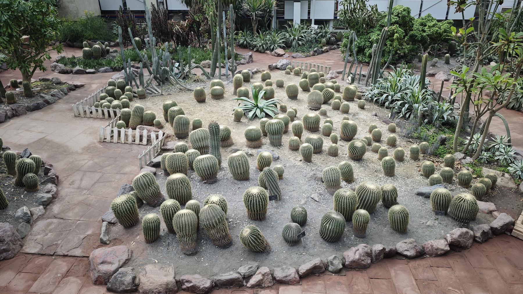 成都植物园