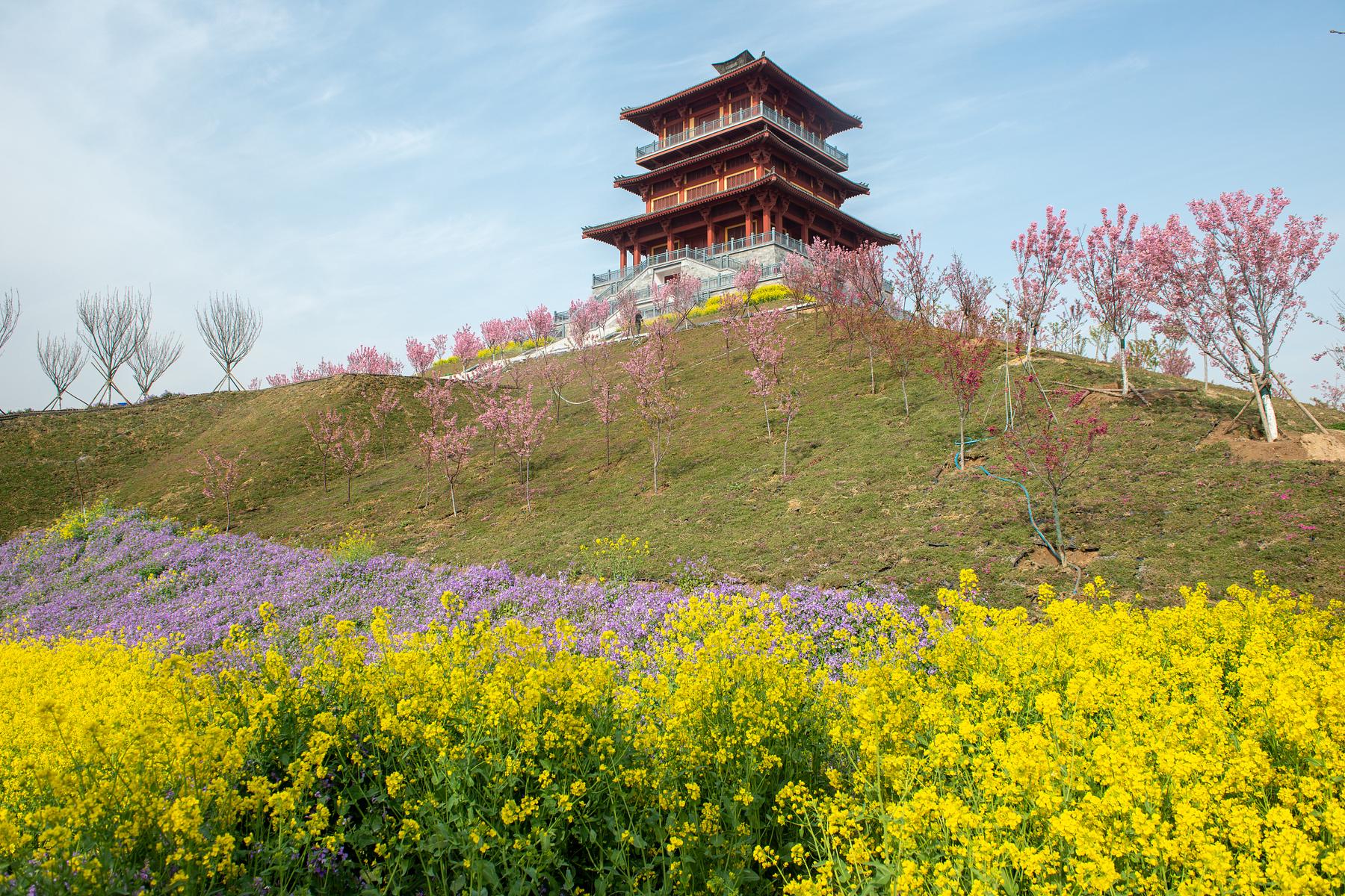 古柏渡飞黄旅游区-丰乐樱花园