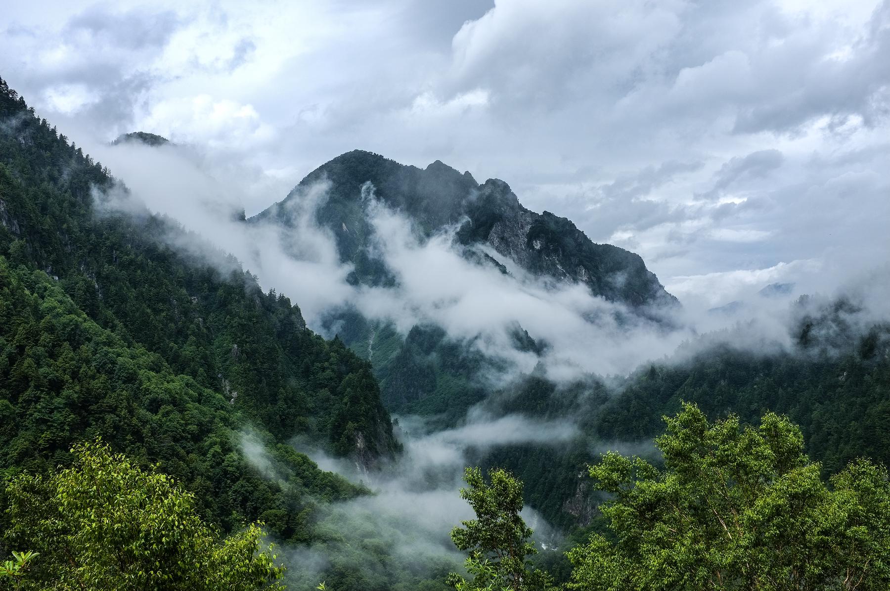 杜鹃山