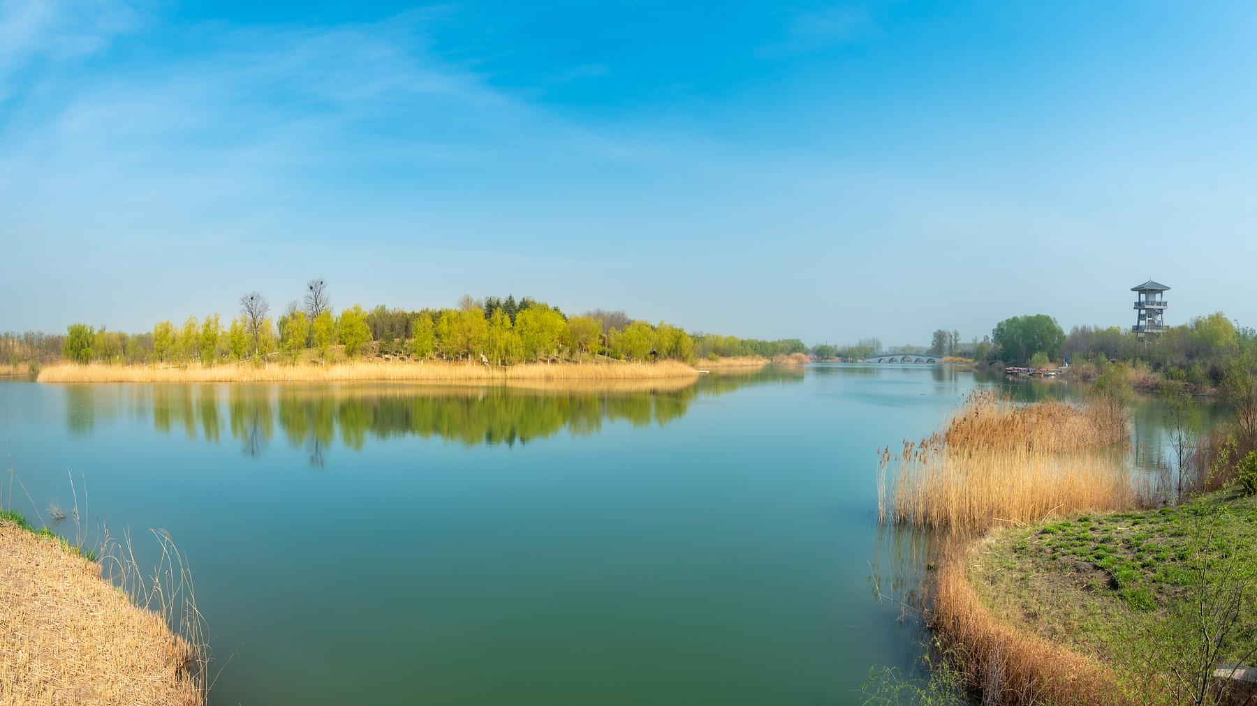 莲花湖湿地