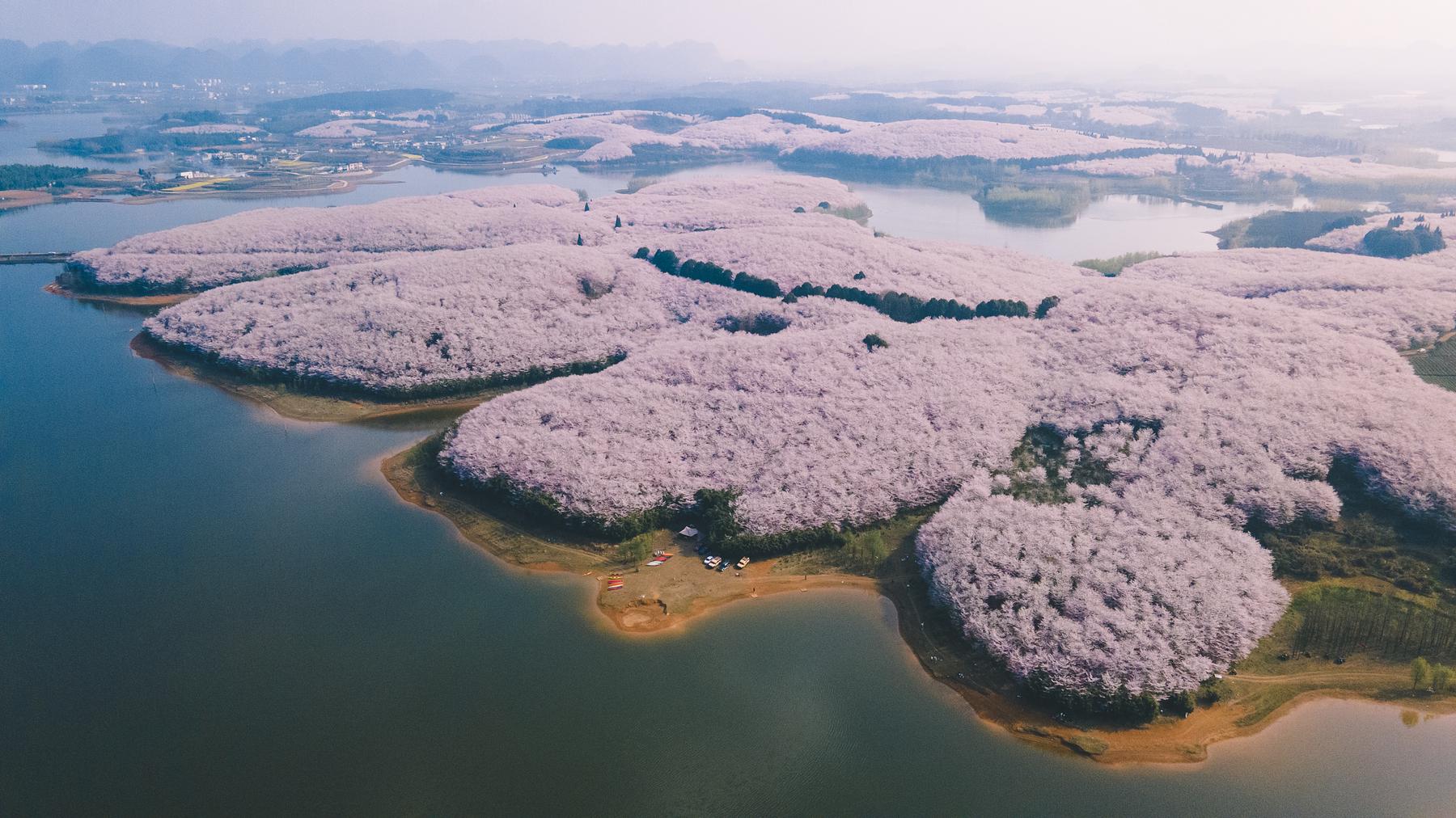 平坝农场