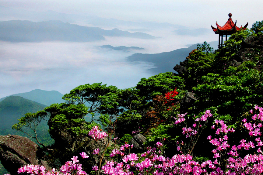 阳明山国家级森林公园