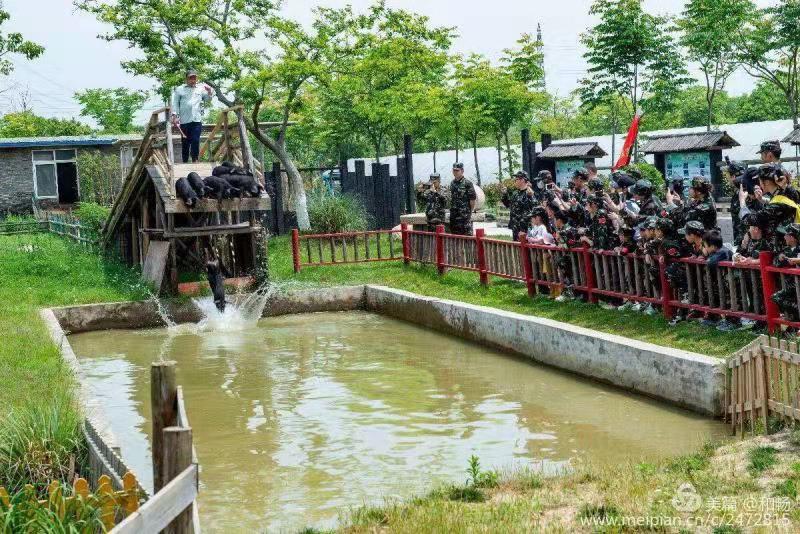 桃花缘生态休闲农场