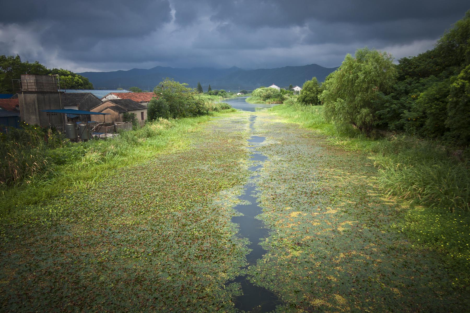 长田漾湿地公园