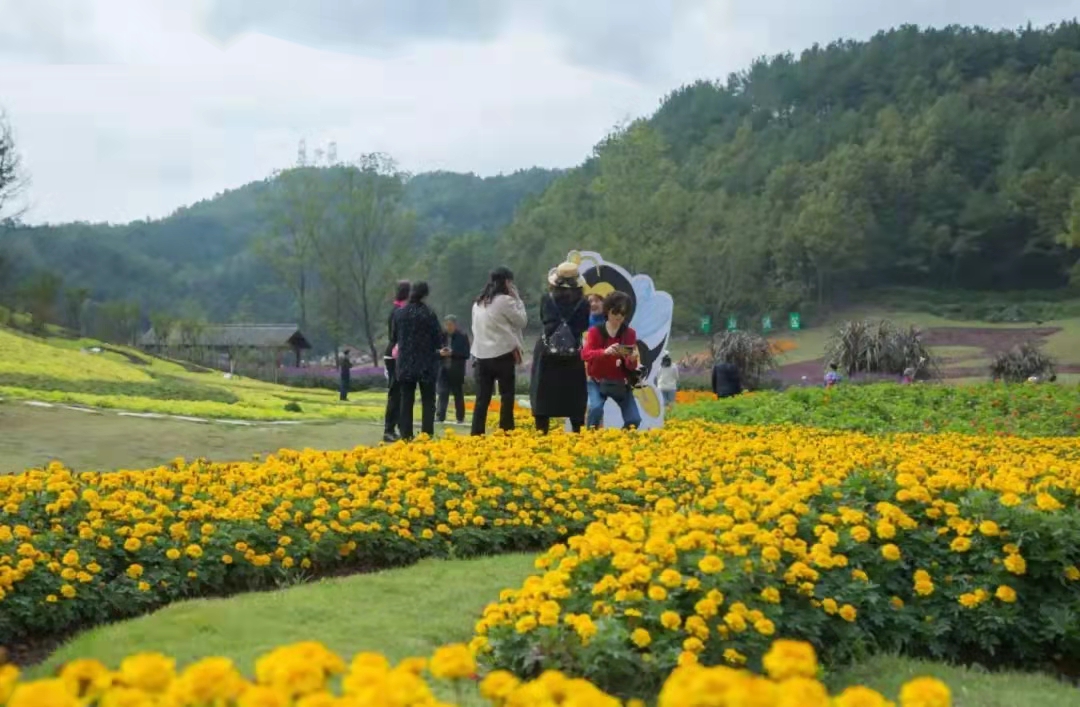 平乐如意花海