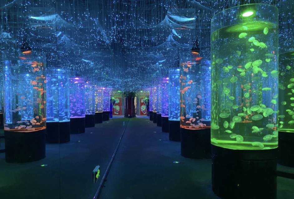 万泰海洋公园