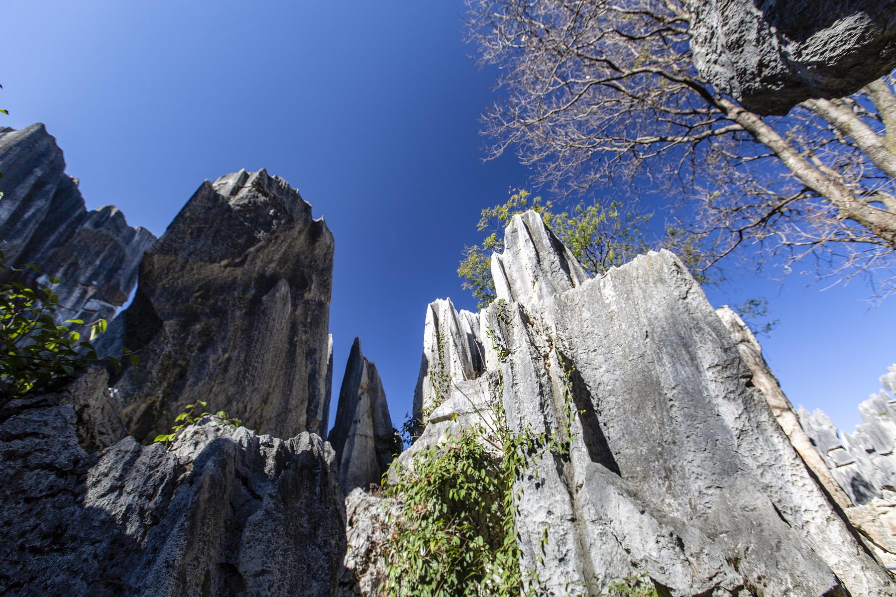 玉石林风景区